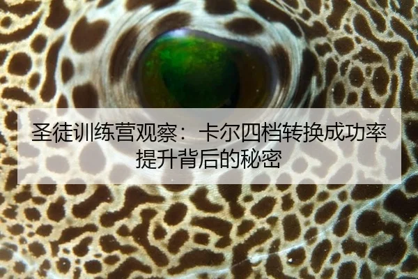 sheng-tu-xun-lian-ying-guan-cha-ka-er-si-dang-zhuan-huan-cheng-gong-lv-ti-sheng-bei-hou-de-mi-mi-2-160.jpg