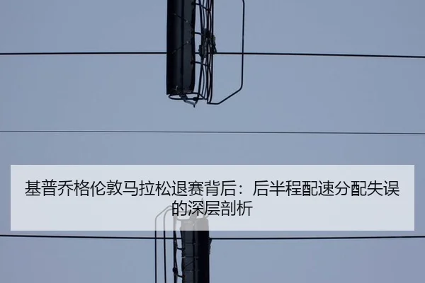 ji-pu-qiao-ge-lun-dun-ma-la-song-tui-sai-bei-hou-hou-ban-cheng-pei-su-fen-pei-shi-wu-de-shen-ceng-pou-xi-3-385.jpg