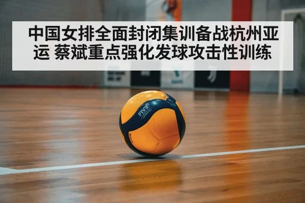 volleyball court with markings